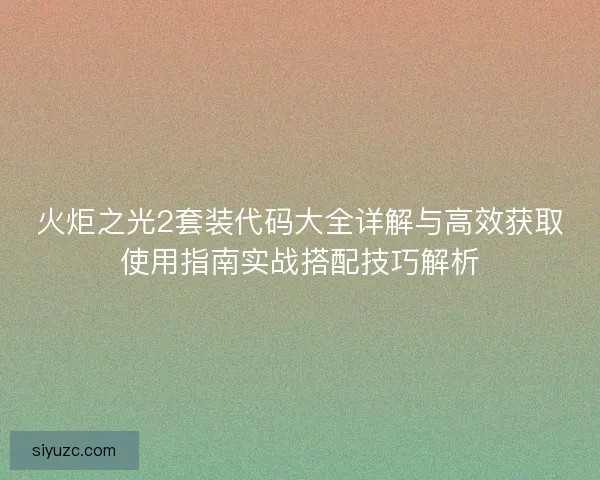 火炬之光2套装代码大全详解与高效获取使用指南实战搭配技巧解析