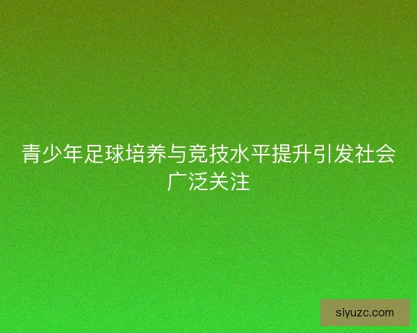 青少年足球培养与竞技水平提升引发社会广泛关注