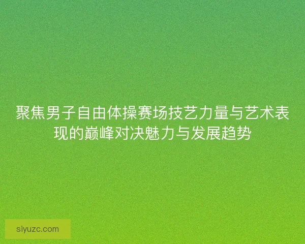 聚焦男子自由体操赛场技艺力量与艺术表现的巅峰对决魅力与发展趋势